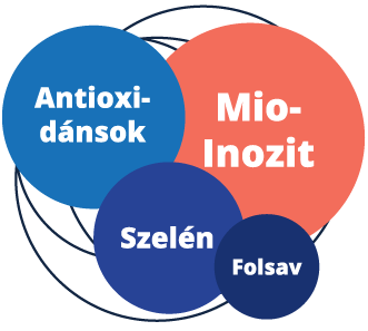 Mio-Inozit + Szelén + Antioxidánsok